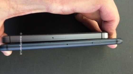 iPhone 6iPhone 5Ա